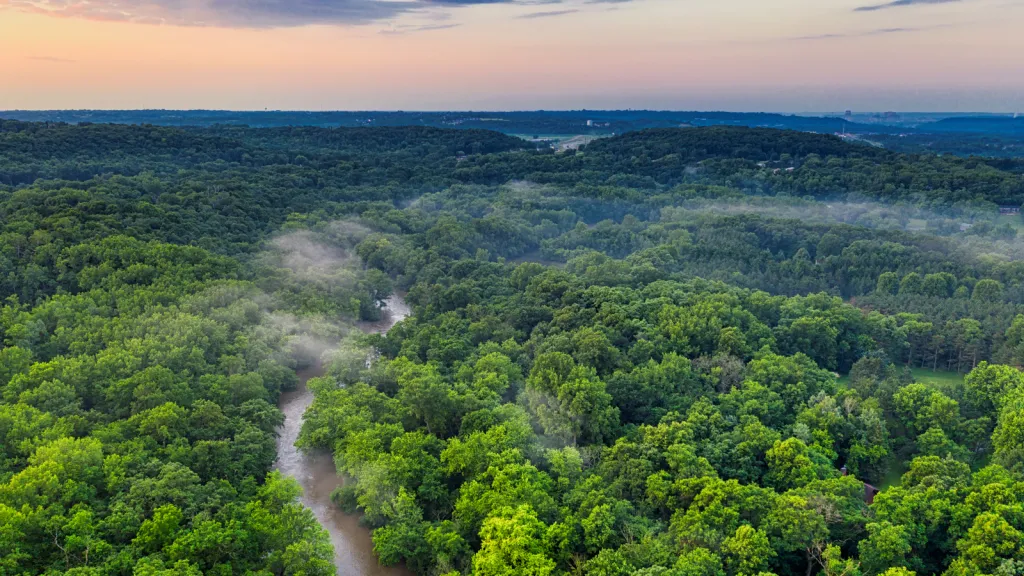 Forested landscape representing landscape-scale research